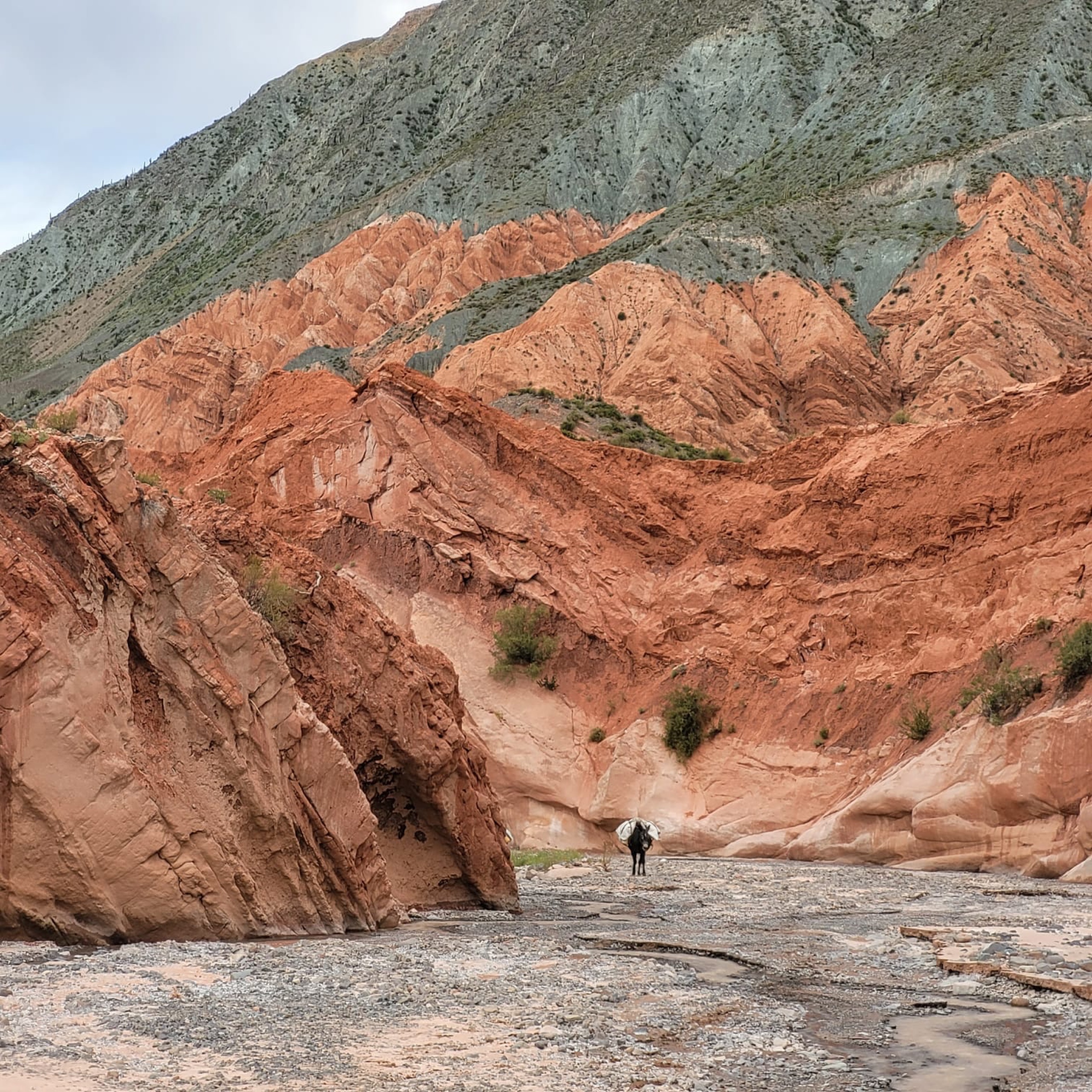 Paisaje de la expedición Salta 4